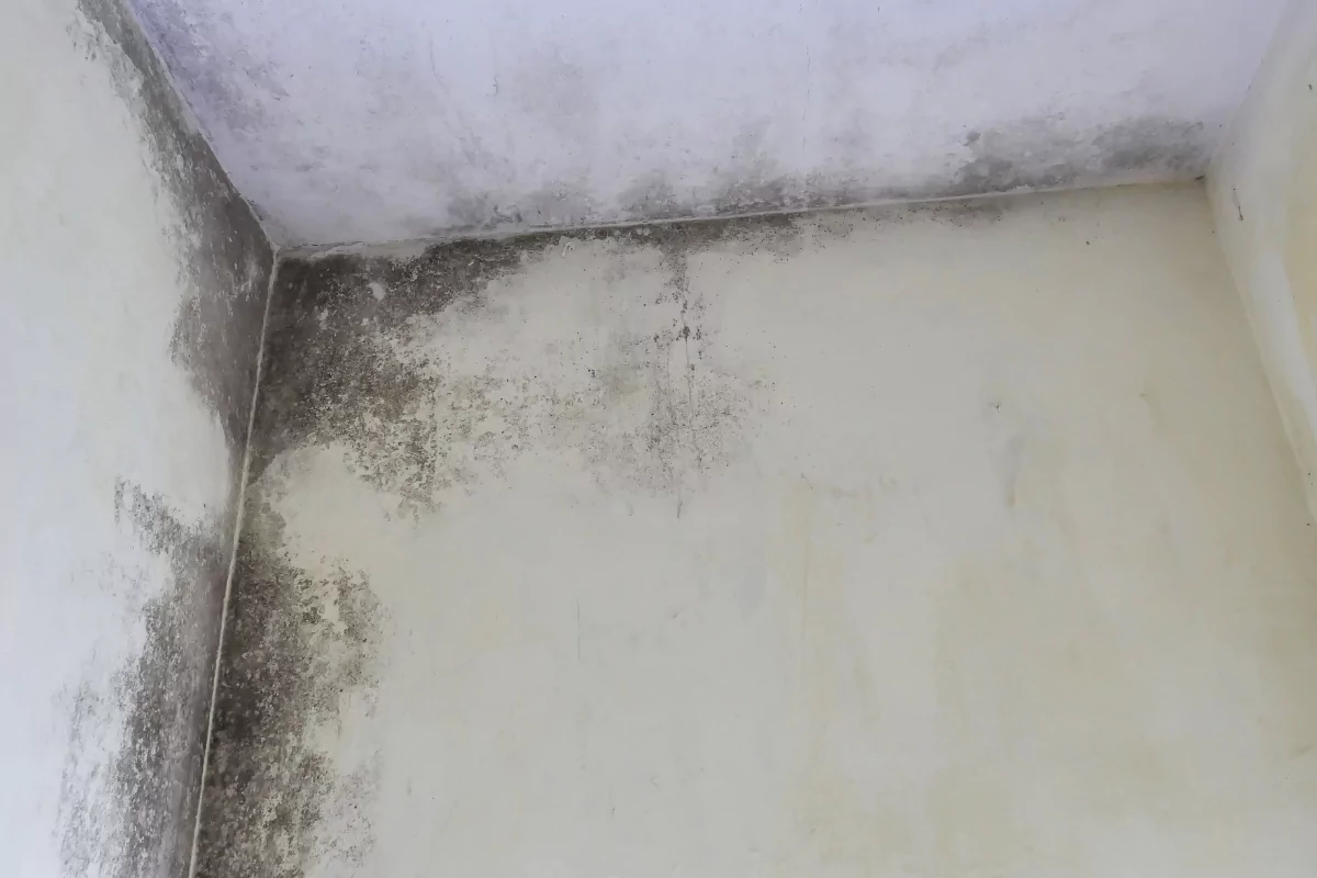 Urgencias goteras 24h en Burgos - Reparación inmediata